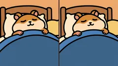 Aivopähkinä: Löydätkö kuvasta 3 eroa hamsterin kanssa 29 sekunnissa?