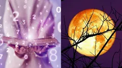 Kuukalenteri tammikuulle 2026: Nämä 8 päivää ovat kaikkein suotuisimmat