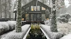 Kuinka suojata puutarhan kasvit talvipoltteelta – puutarhurin vinkit