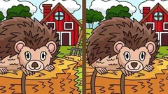 Aivopähkinä: Löydätkö 3 eroavaisuutta siilikuvasta 25 sekunnissa?