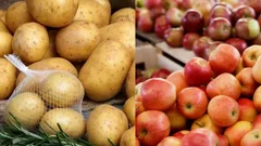 Säilytätkö perunat omenoiden kanssa? Tieteellinen löytö, joka suojaa varastoasi – tästä on kyse