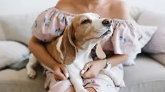 Koirat rakastavat syvemmin kuin luulet: merkit, jotka kertovat enemmän kuin tuhat sanaa