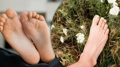 Pikkivarvas on paljon tärkeämpi kuin luulet: mikä tärkeä tehtävä sillä on?