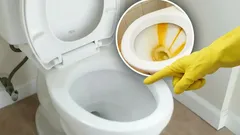 Kalkkikivi wc-altaassa katoaa jälkiä jättämättä: pudota tabletti wc-altaaseen, joka kaikilla on kotona