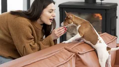 Miksi koiraa kannattaa silittää ennen kuin lähtee kotoa: vinkki kaikille koiranomistajille