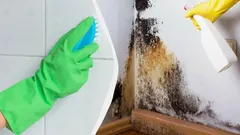 Musta home katoaa ikuisesti: yksinkertainen kotihoito, josta siivoojat eivät kerro mitään