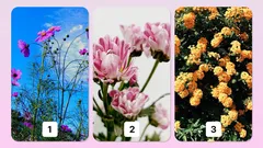 Psykologinen testi: valitse kukka ja selvitä tärkein lahjakkuutesi